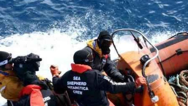 Milieuorganisatie Sea Shepherd stemt ermee in Japanse walvisvangst niet meer te hinderen