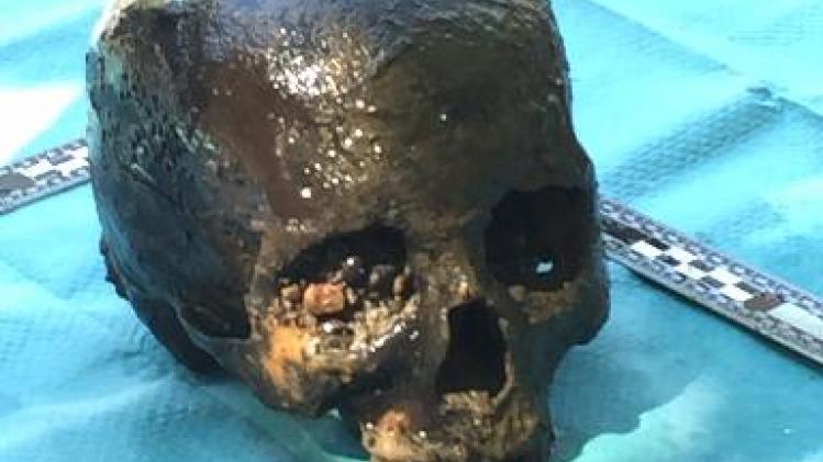 Eeuwenoude schedel opgevist uit Dijle in Leuven