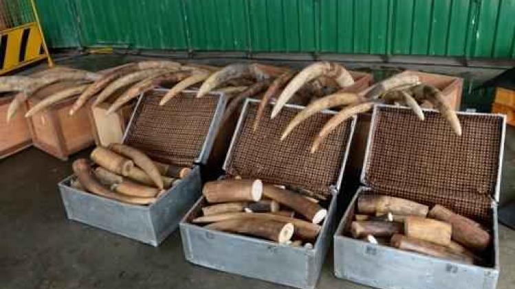 Natuurbeschermers roepen op tot stopzetting ivoorhandel