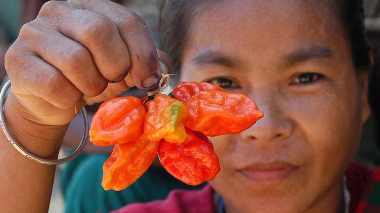 Tests by a team of Indian researchers in Assam have confirmed that "Naga Chilli", a variety of chilli from northeast, is the World's hottest Chilli