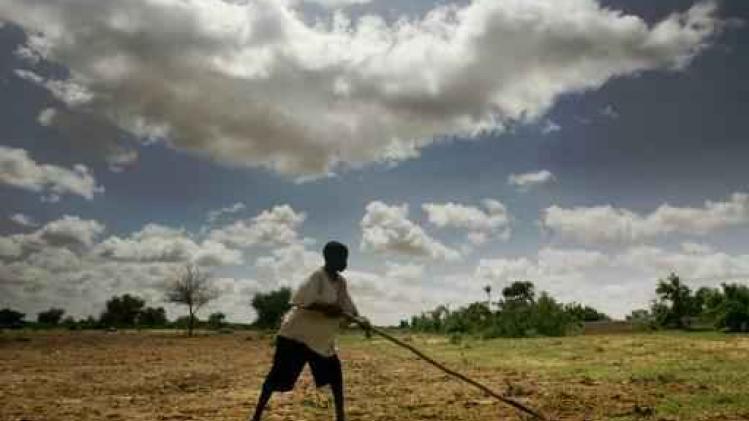 Achttien doden bij geweld tussen veehouders en landbouwers in Niger