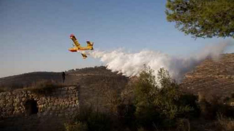 Bosbranden Israël: vlammen gedoofd