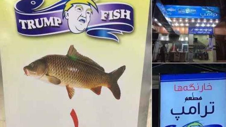 Trump Fish