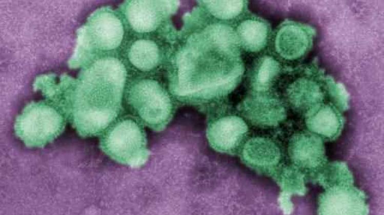 Nederlands meisje bijna dood aan varkensgriep