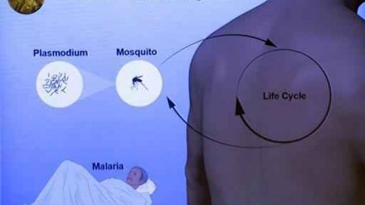 Malaria kostte vorig jaar 429.000 mensen het leven Malaria kostte vorig jaar 429.000 mensen het leven