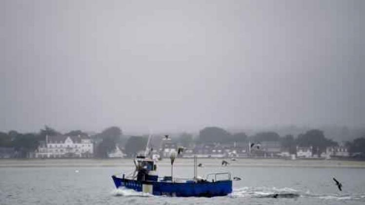 Nieuwe visvangstquota voor Belgische vissers vastgelegd
