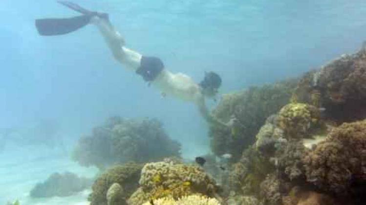 Vierde dodelijk ongeval aan de Great Barrier Reef in weken