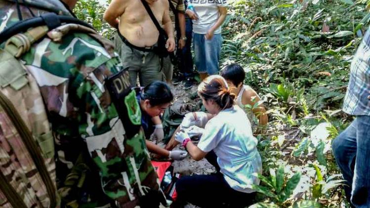 THAILAND-ANIMAL-ACCIDENT-OFFBEAT