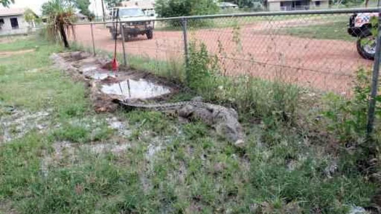 Man gedood door krokodil in noorden van Australië