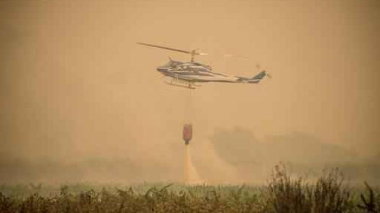 Bosbranden vernielen 130.000 hectare land in Chili