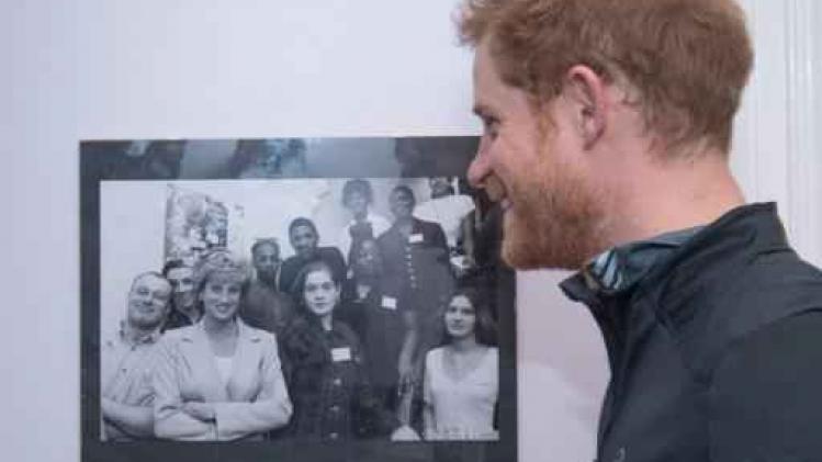 Prins William en prins Harry willen standbeeld ter ere van hun moeder Diana