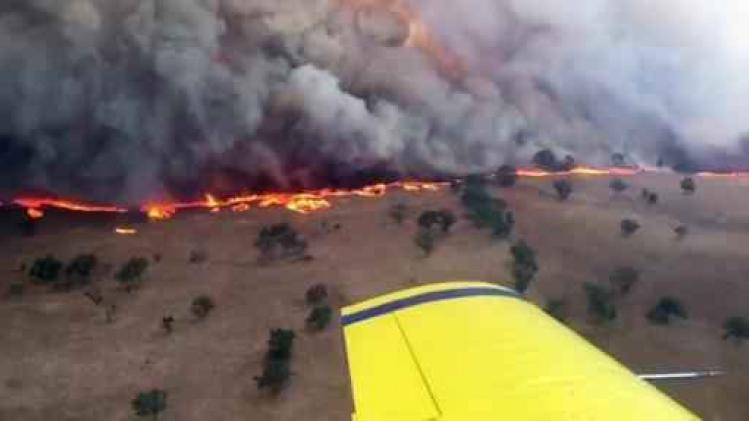 Australië geteisterd door hitterecords en honderdtal brandhaarden