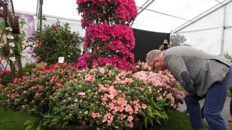 Oost-Vlaanderen voorziet 375.000 euro voor voortbestaan Floraliën
