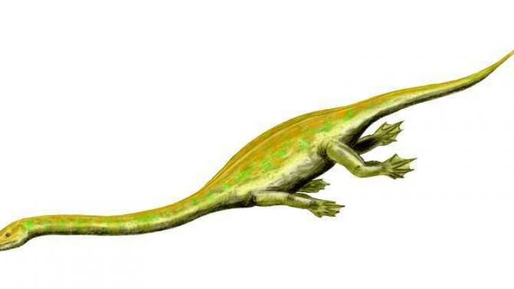 Dinocephalosaurus met vier meter lange nek