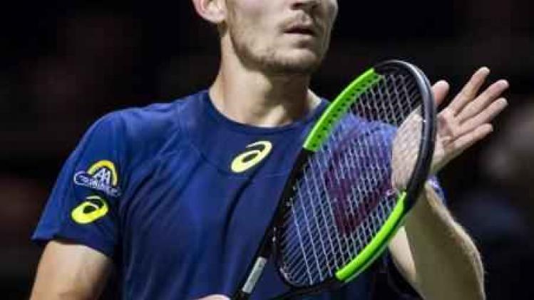 ATP Rotterdam - Eerste zege ooit tegen Dimitrov levert Goffin plaats in halve finales op