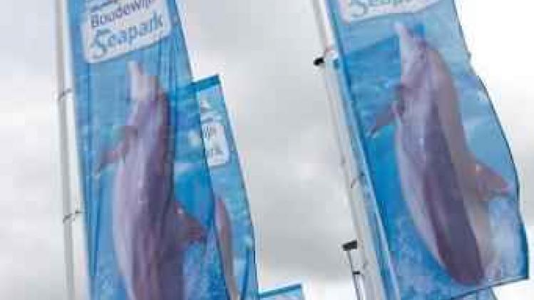 Boudewijn Seapark snelt voortaan gestrande bruinvissen te hulp