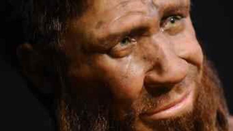 Neanderthalers gebruikten al plantaardige aspirine en penicilline