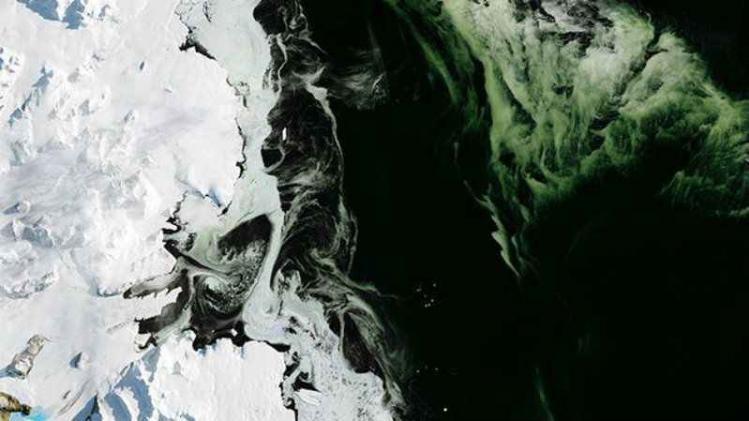 Groen ijs op Antartica