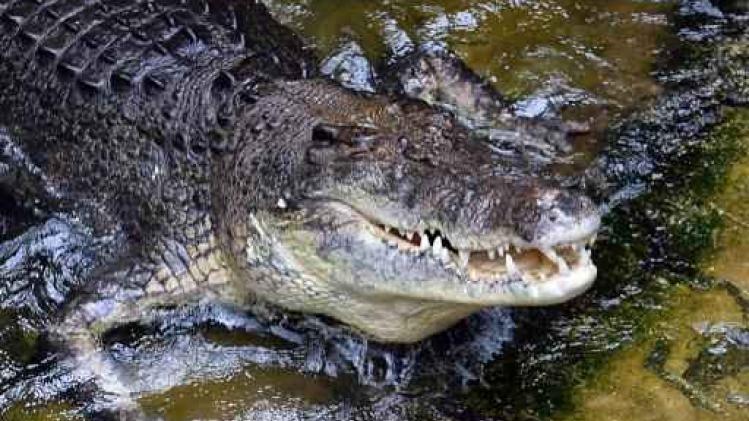 Australische visser vemoedelijk gedood door krokodil