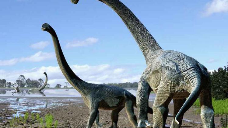 Wetenschappers ontdekken grootste pootafdruk van dino ooit