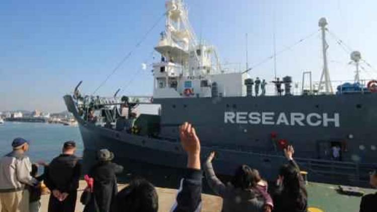 Japan doodt 333 walvissen in Zuidpoolgebied