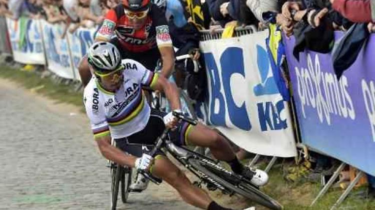 Ronde van Vlaanderen - Peter Sagan begrijpt niet hoe hij ten val is gekomen op Oude Kwaremont