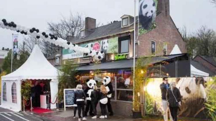 Reuzenpanda's hebben hun nieuwe Nederlandse thuis bereikt