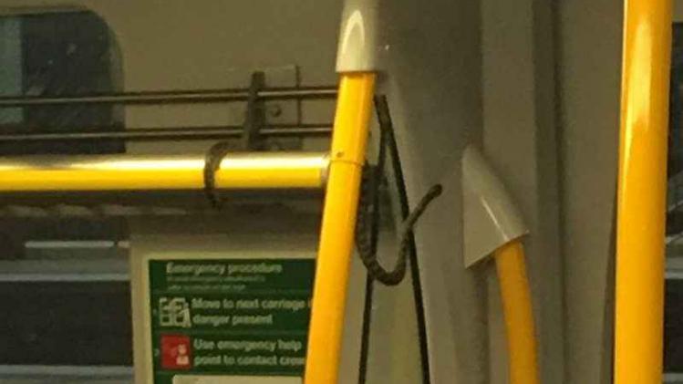 Australische slang pikt een ritje op de trein mee