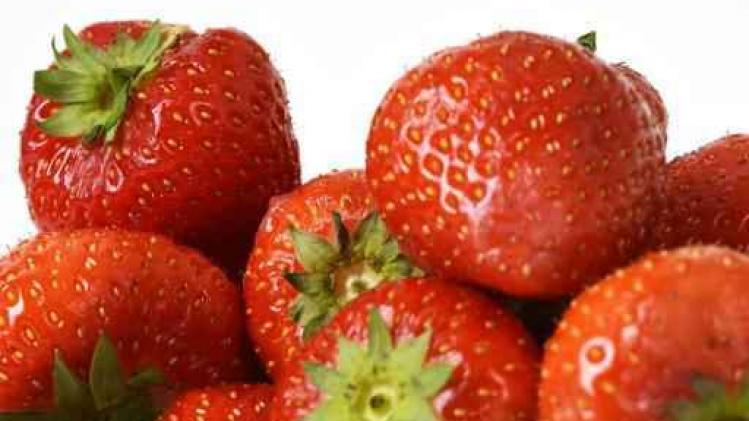 Maar vijfde van producten met fruit op verpakking bevat minstens de helft fruit