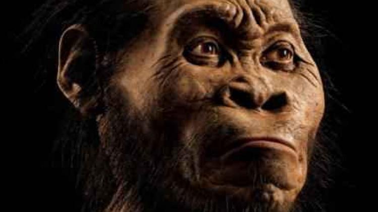 Eerste moderne mens leefde met andere mensachtige soort in Afrika