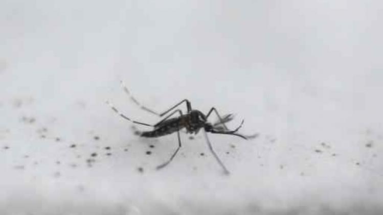 Zikavirus - Brazilië heft noodtoestand na achttien maanden op