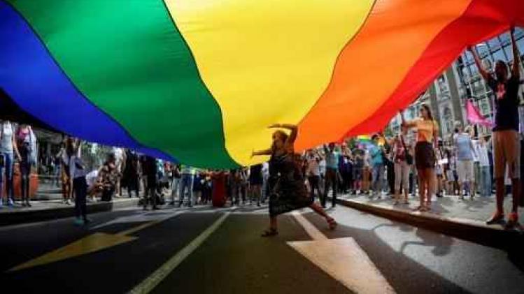 Antwerpen hangt dinsdag regenboogvlag uit aan het Steen