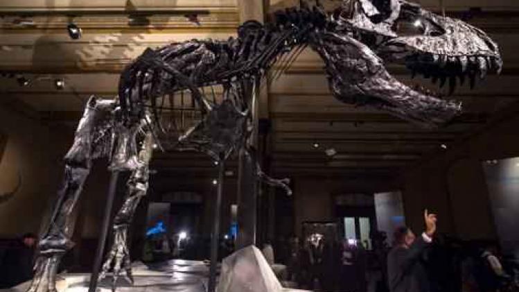 Dino World in Brussels Expo mikt op 100.000 bezoekers