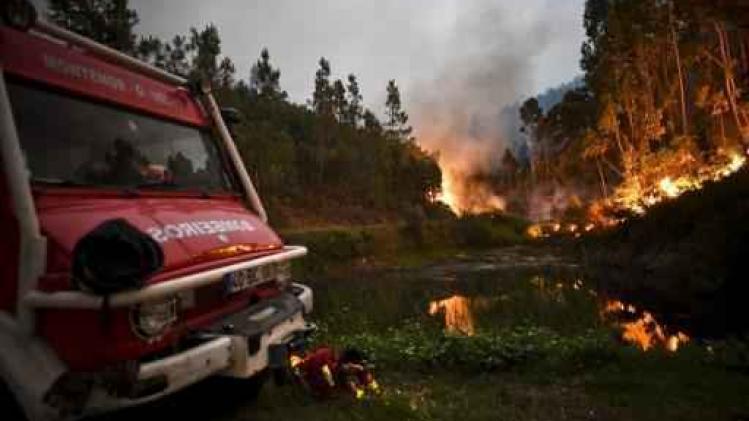 Update bosbrand Portugal: dodentol stijgt naar 43