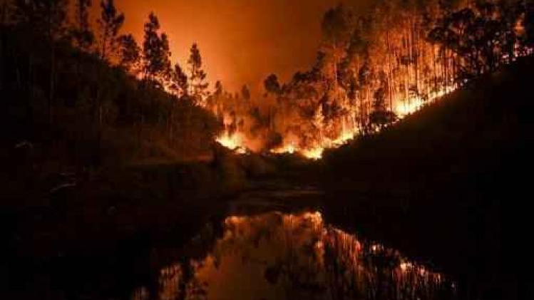 Bosbrand Portugal vermoedelijk veroorzaakt door blikseminslag