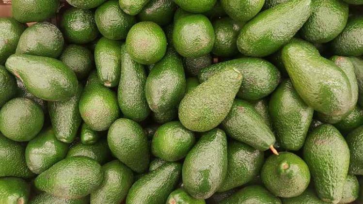 Criminelen geklist voor avocadodiefstal ter waarde van 270.000 euro