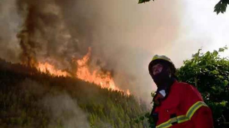 Bosbrand Portugal - Al 64 doden geteld in bosbrand Portugal