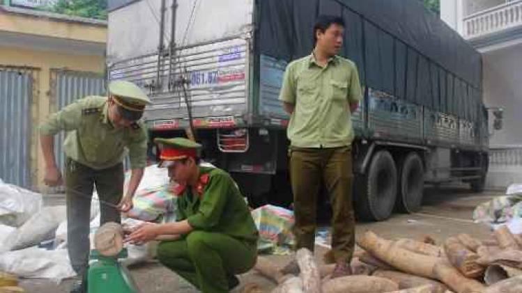 Meerdere tonnen ivoor in beslag genomen in Vietnam