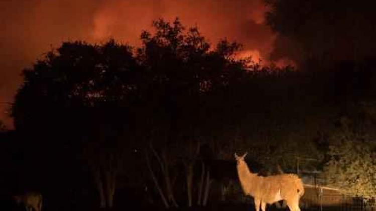 5.000 brandweermannen bestrijden bosbranden in Californië