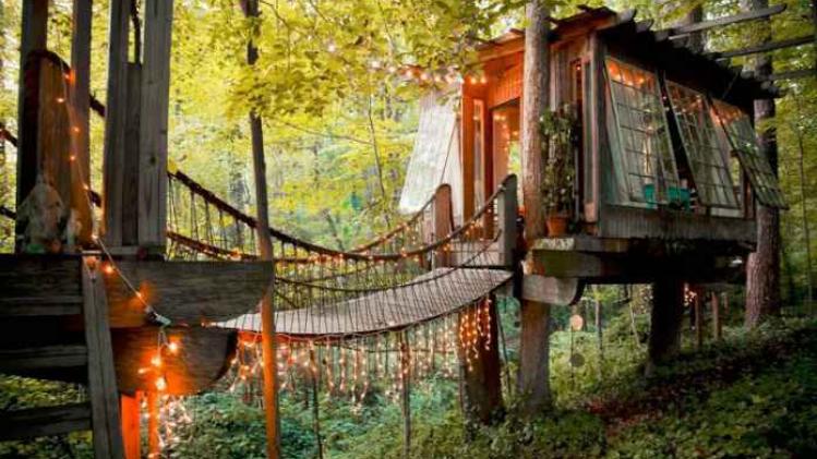 Romantische boomhut is populairste plek op Airbnb