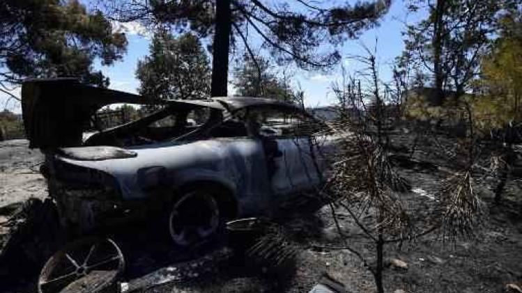 Portugal wil minder eucalyptussen na hevige bosbranden