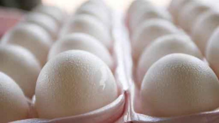 Eerste resultaten van onderzoek besmette eieren geruststellend voor volksgezondheid