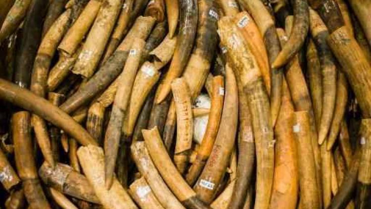 New York vernietigt twee ton ivoor in Central Park
