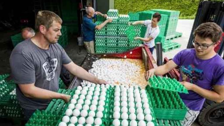 Fipronil in eieren - Nederland stelt lijst op van 170 eicodes van pluimveebedrijven
