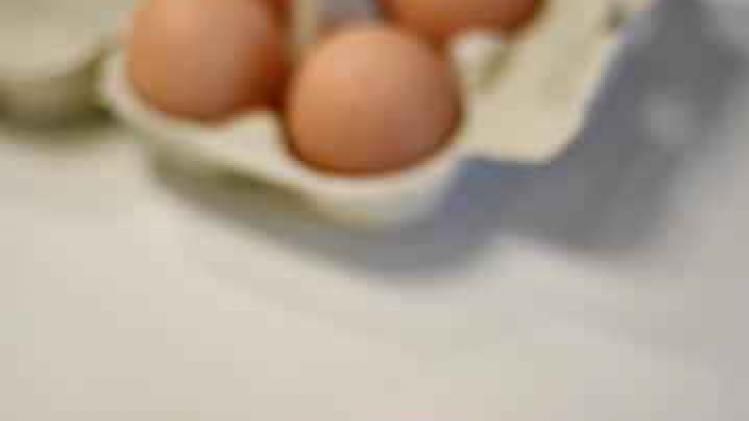 Fipronil in eieren - Enkele honderdduizenden euro's schade in Wallonië
