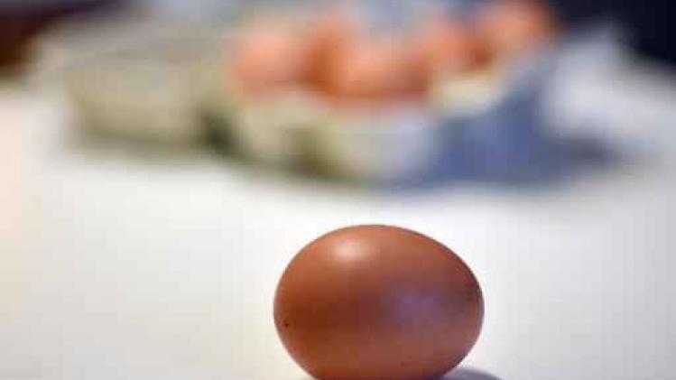 Fipronil in eieren - Chickfriend-bestuurders morgenvoorgeleid
