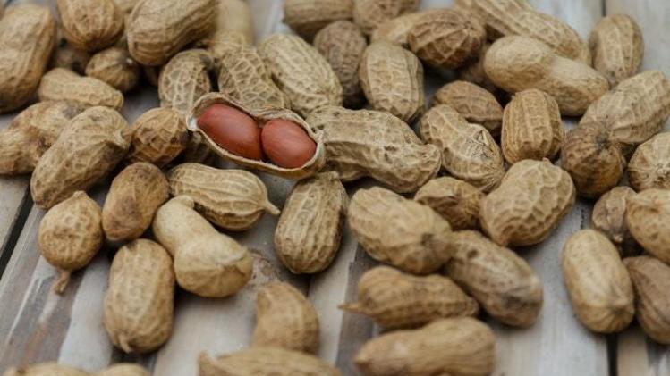 Onderzoekers zijn behandeling voor pinda-allergie op spoor