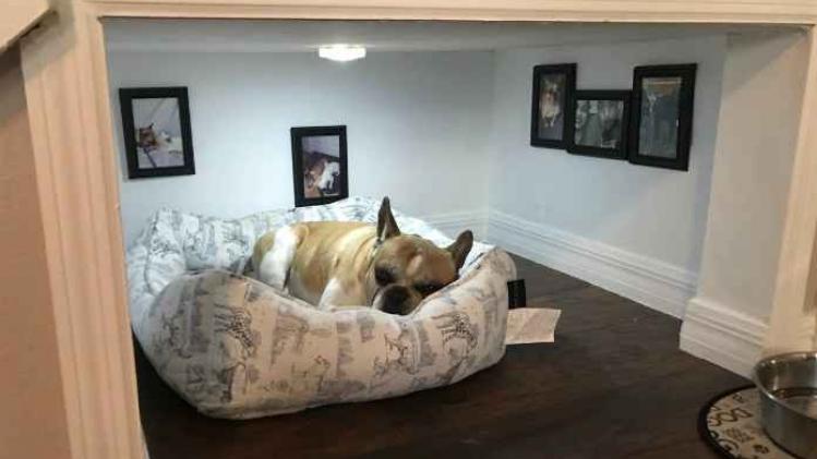 Man bouwt kleine, schattige slaapkamer voor hond