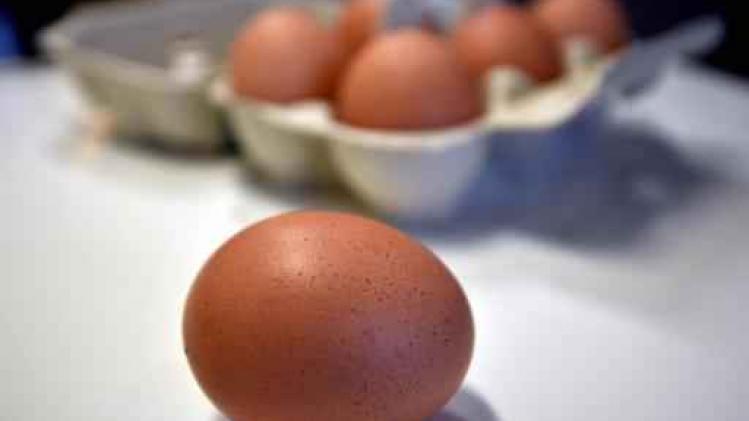 Italiaanse politie neemt meer dan 90.000 besmette eieren in beslag