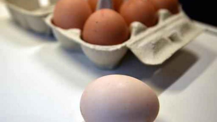 Fipronil in eieren - Formulier voor getroffen bedrijven online